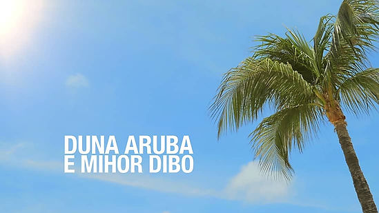 Aruba Beach Policy